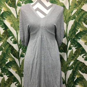 Express Knit Dress